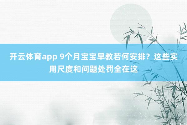 开云体育app 9个月宝宝早教若何安排？这些实用尺度和问题处罚全在这