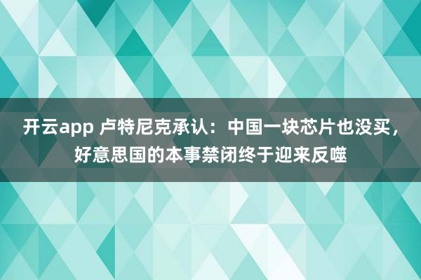 开云app 卢特尼克承认：中国一块芯片也没买，好意思国的本事禁闭终于迎来反噬