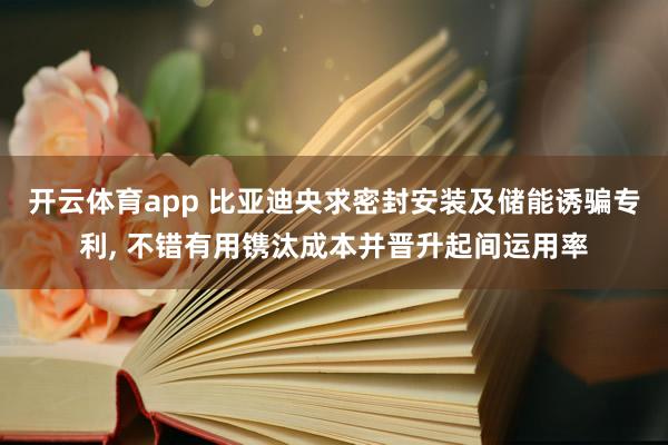 开云体育app 比亚迪央求密封安装及储能诱骗专利， 不错有用镌汰成本并晋升起间运用率