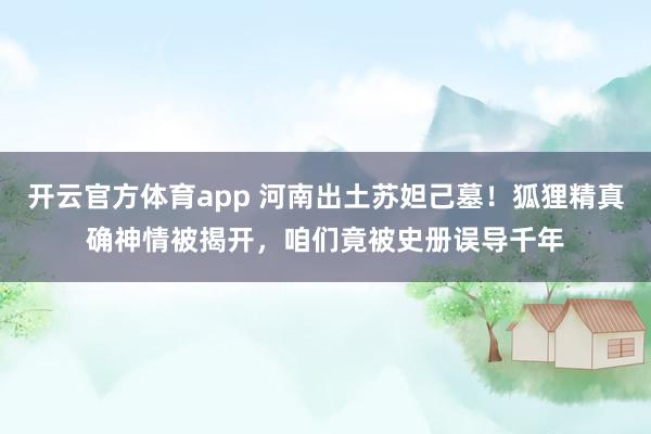 开云官方体育app 河南出土苏妲己墓！狐狸精真确神情被揭开，咱们竟被史册误导千年