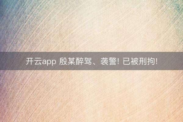 开云app 殷某醉驾、袭警! 已被刑拘!